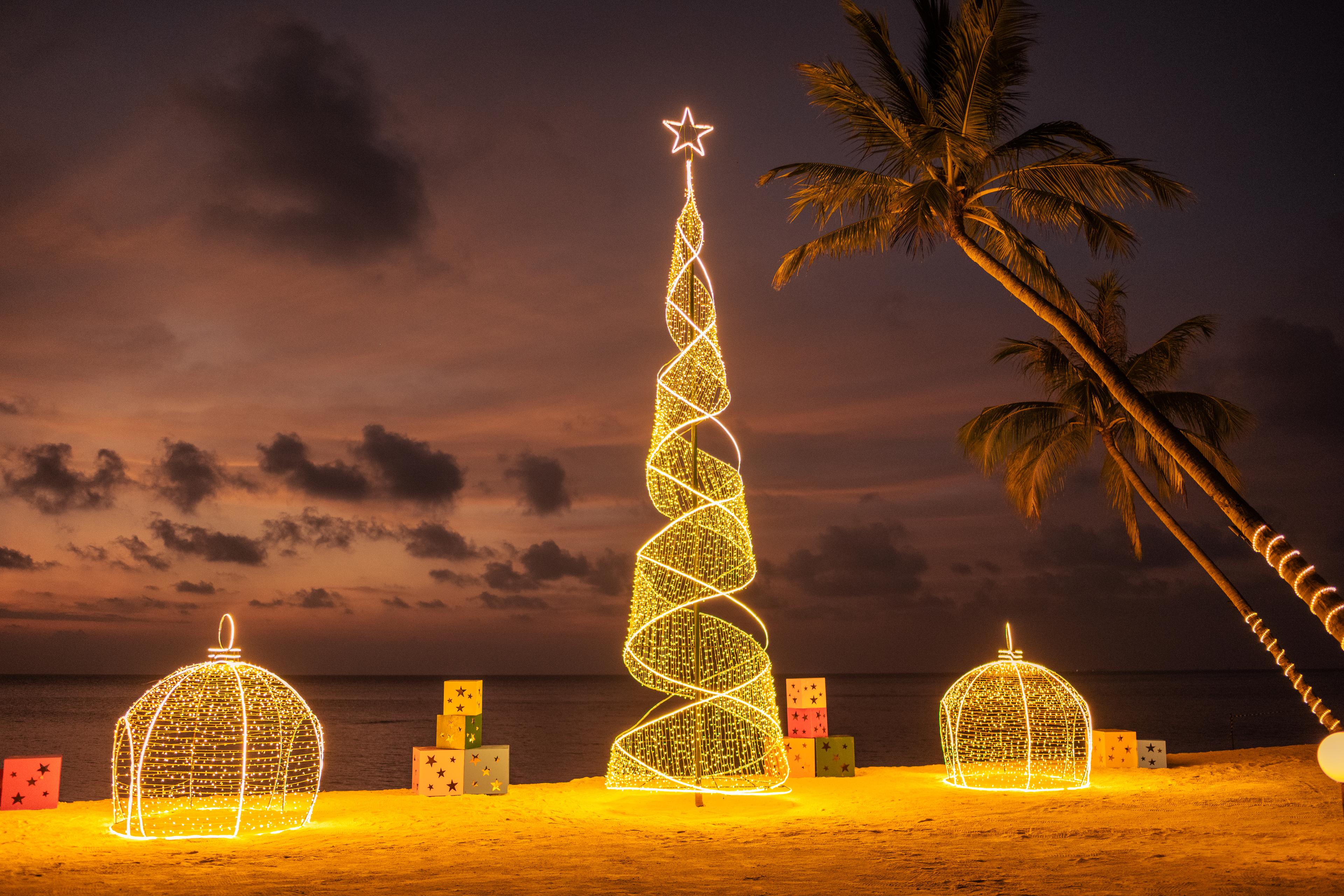 Christmas Tree Lighting.jpg