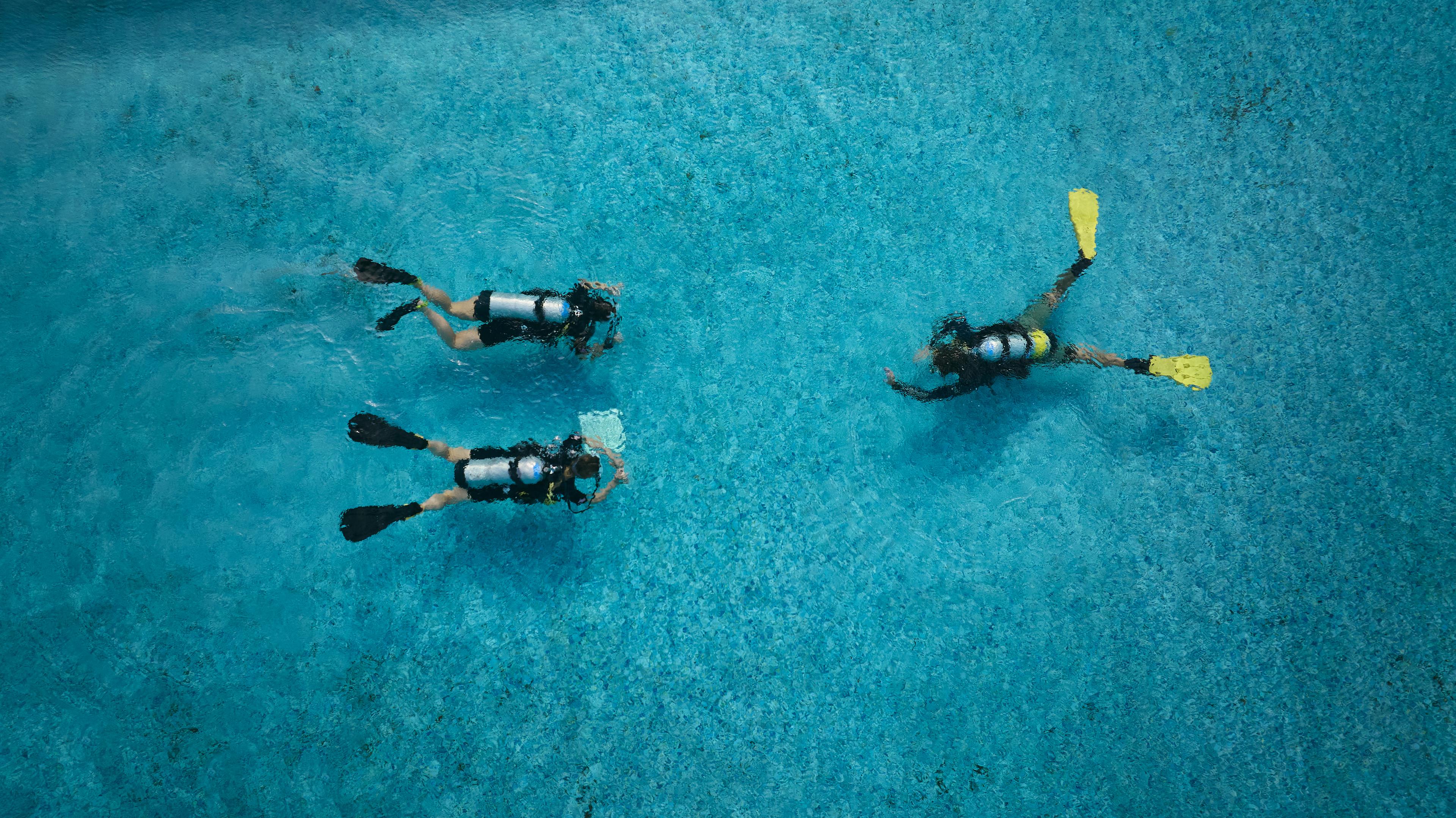 DISCOVER SCUBA DIVING.jpg